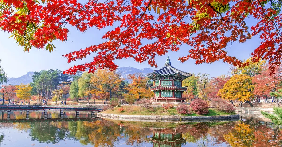 koyo-feuilles-rouges-japon-automne